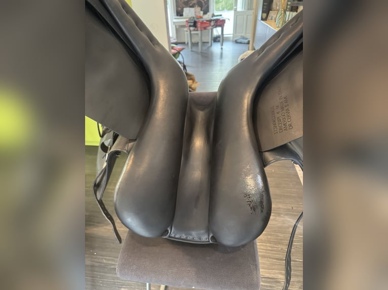 Amerigo Ceriva II 17‘5 Zoll
