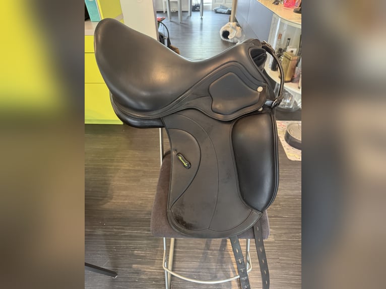 Amerigo Ceriva II 17‘5 Zoll