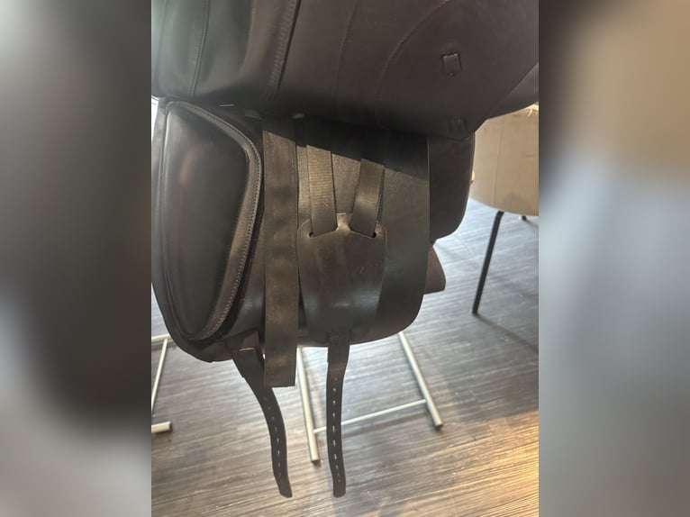 Amerigo Ceriva II 17‘5 Zoll