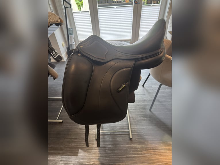 Amerigo Ceriva II 17‘5 Zoll