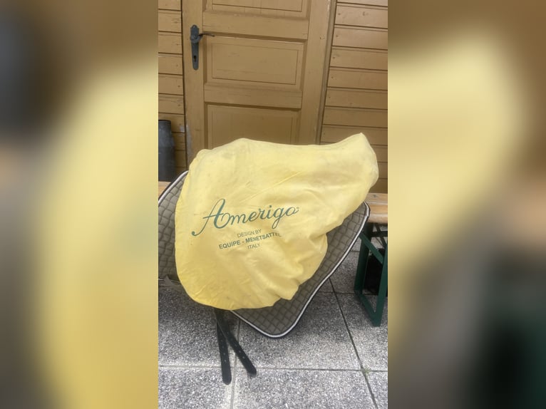 Amerigo Classic Dressage Pinerolo Monoblatt 17,5 Dressursattel