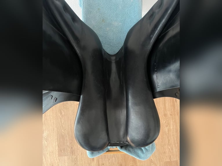 Amerigo Dressursattel 17,5 Zoll