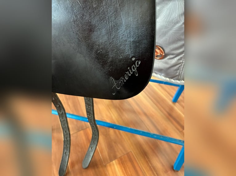 Amerigo Dressursattel 17,5 Zoll 