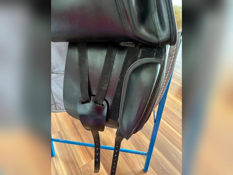 Amerigo Dressursattel 17,5 Zoll 