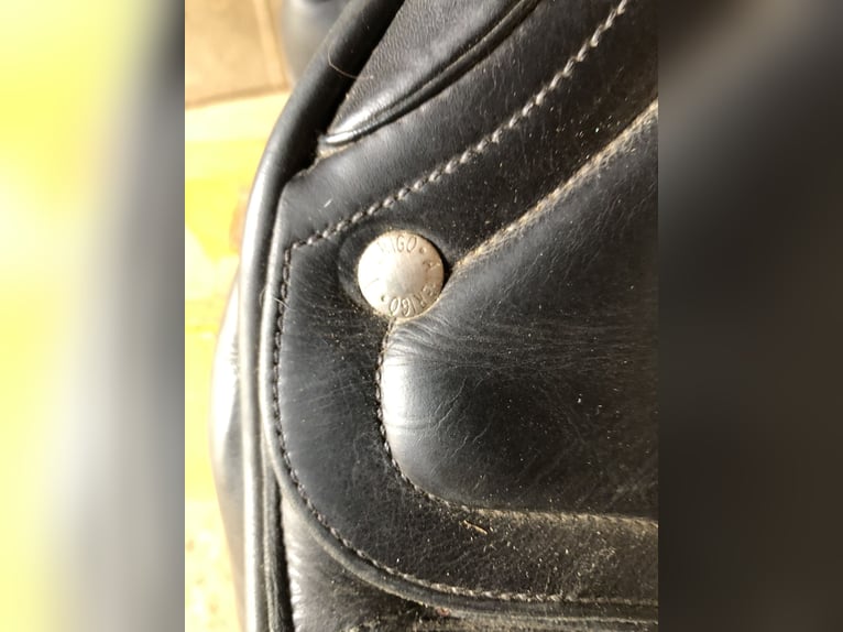 Amerigo Dressursattel