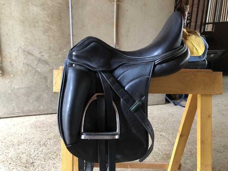 Amerigo Dressursattel