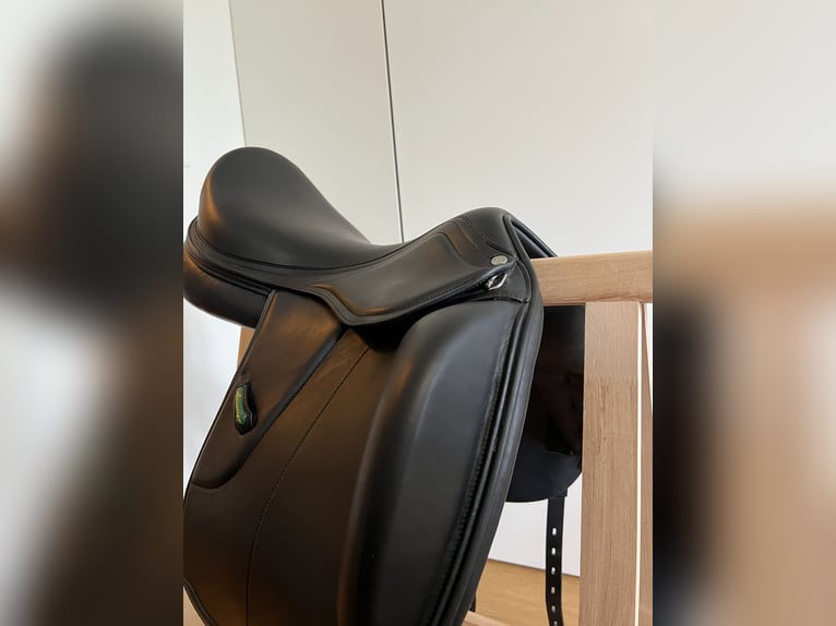 Amerigo Vega Dressursattel neu