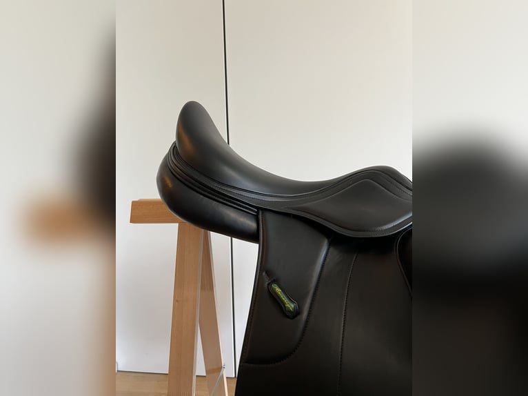 Amerigo Vega Dressursattel neu