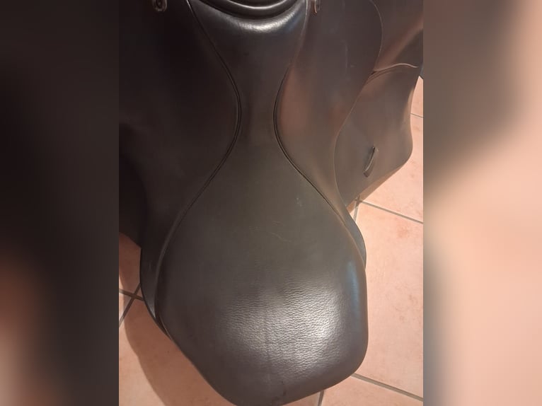 Anatomic Fit 3