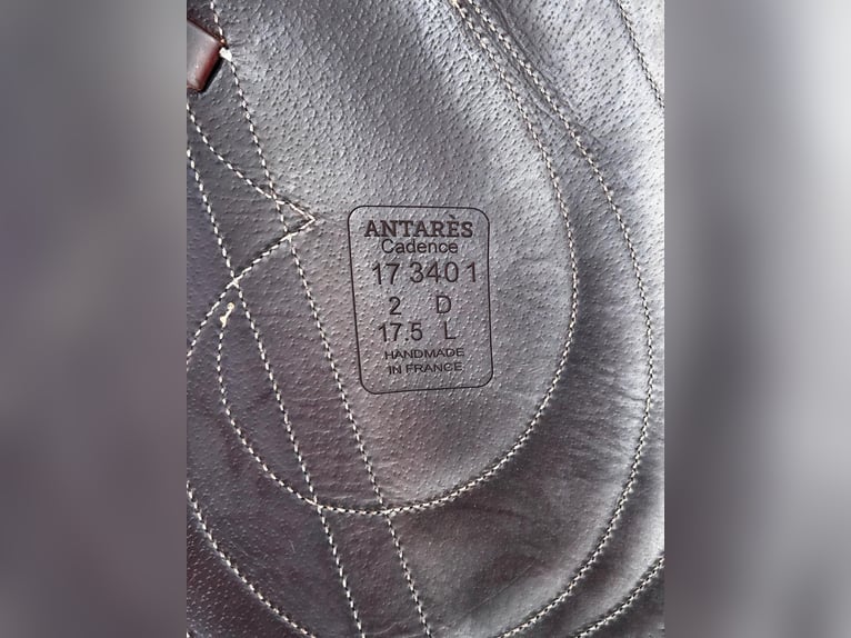 Antarès Cadence Dressursattel – 17,5 L – handmade in France