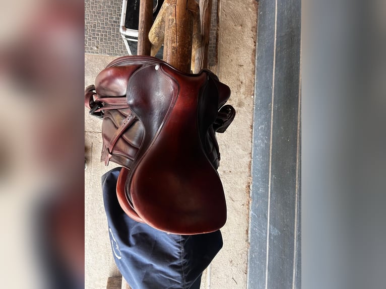 Antarès Cadence Dressursattel – 17,5 L – handmade in France