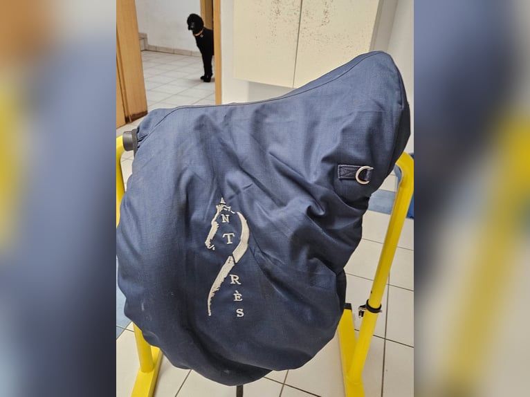 Antares Cadence  schwarz17.5 Zoll