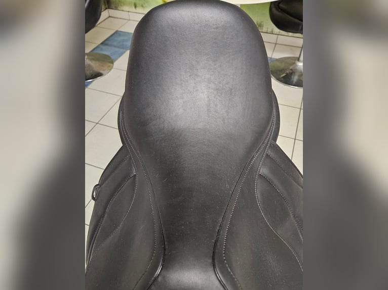 Antares Cadence  schwarz17.5 Zoll