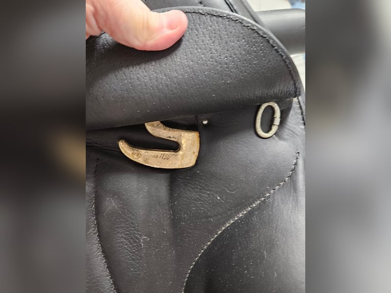 Antares Cadence  schwarz17.5 Zoll