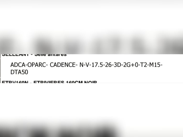 Antares Cadence  schwarz17.5 Zoll