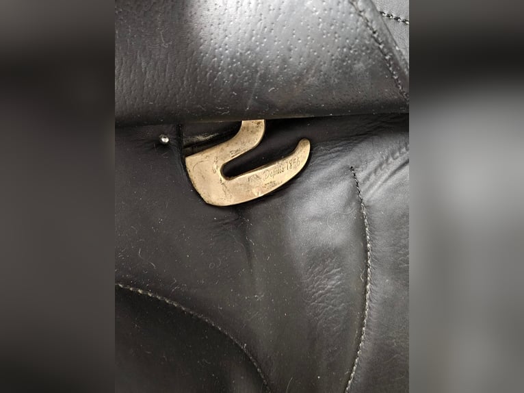 Antares Cadence  schwarz17.5 Zoll