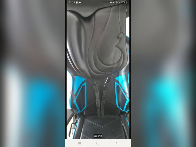 Antares Dressursattel 17,5 Zoll 31cm kammerweite