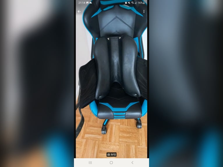 Antares Dressursattel 17,5 Zoll 31cm kammerweite