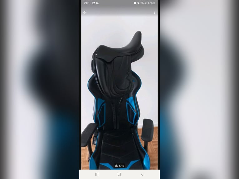 Antares Dressursattel 17,5 Zoll 31cm kammerweite