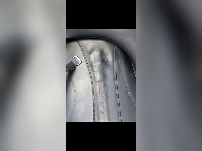 Bates Artiste Dressursattel 