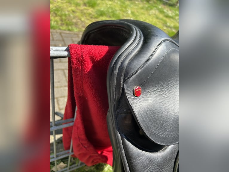 Biete Dressursattel von Albion 
