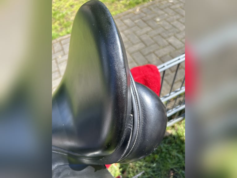 Biete Dressursattel von Albion 
