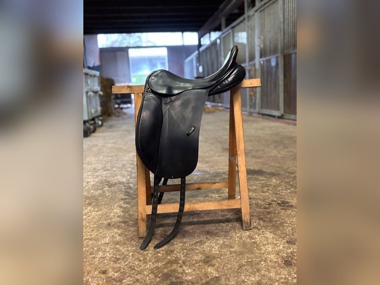BR Dressursattel 17,5 Zoll