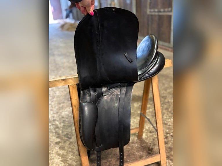 BR Dressursattel 17,5 Zoll