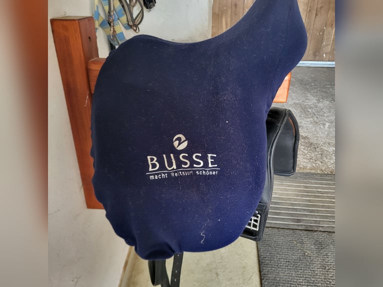 Busse Bozen Busse Bozen
