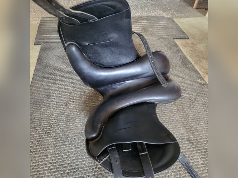 Busse Bozen Busse Bozen