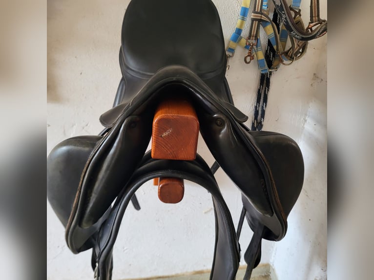 Busse Bozen Busse Bozen