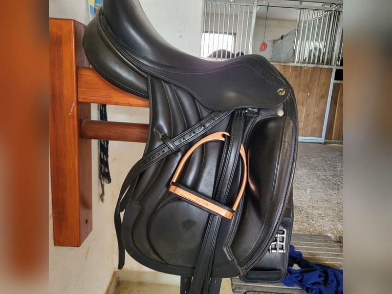 Busse Bozen Busse Bozen