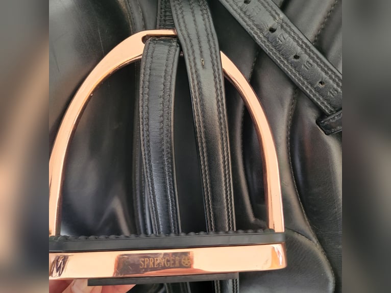 Busse Bozen Busse Bozen