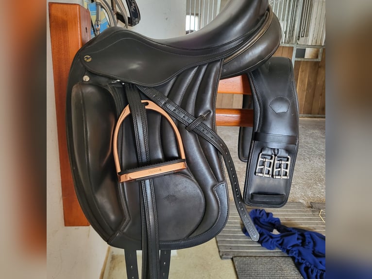 Busse Bozen Busse Bozen