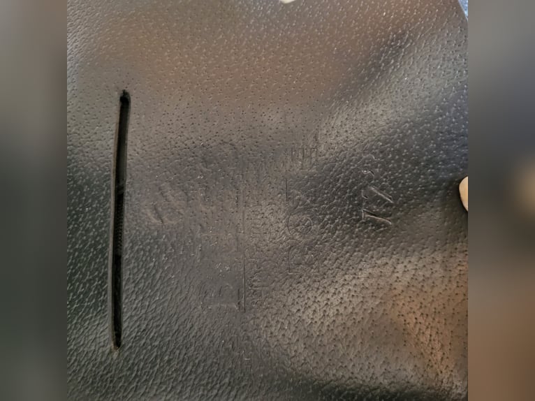 Busse Bozen Busse Bozen