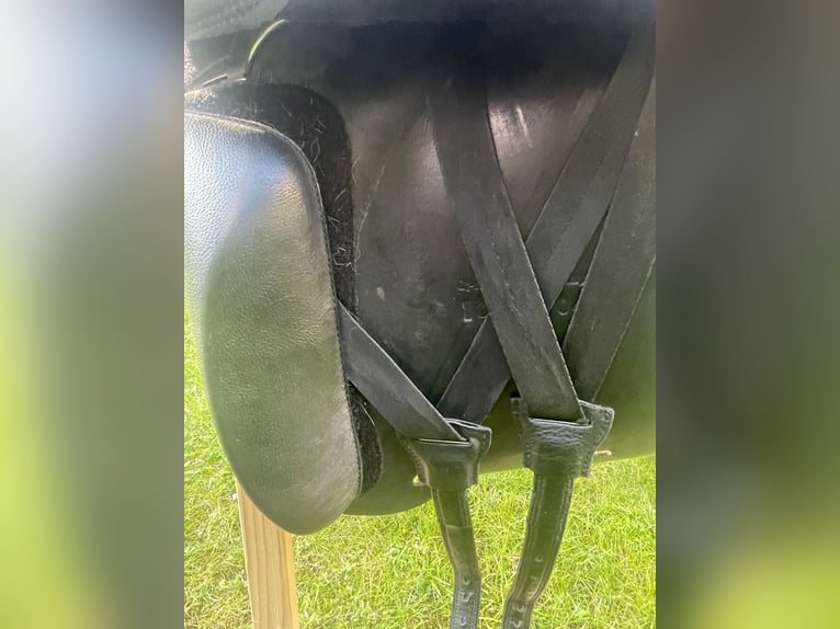 Butterfly Sattel Uta Gräf 18 zoll