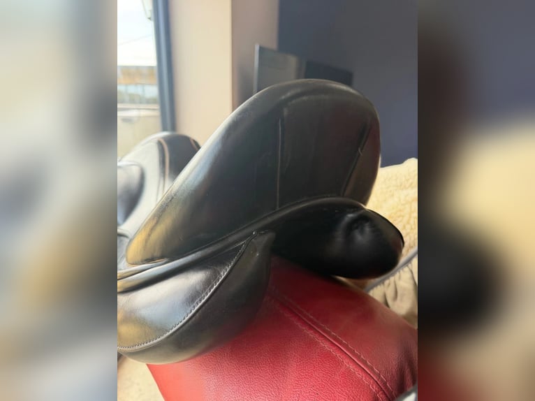 Childeric DGP Dressursattel. 17,5 Zoll MW. Sehr guter Zustand