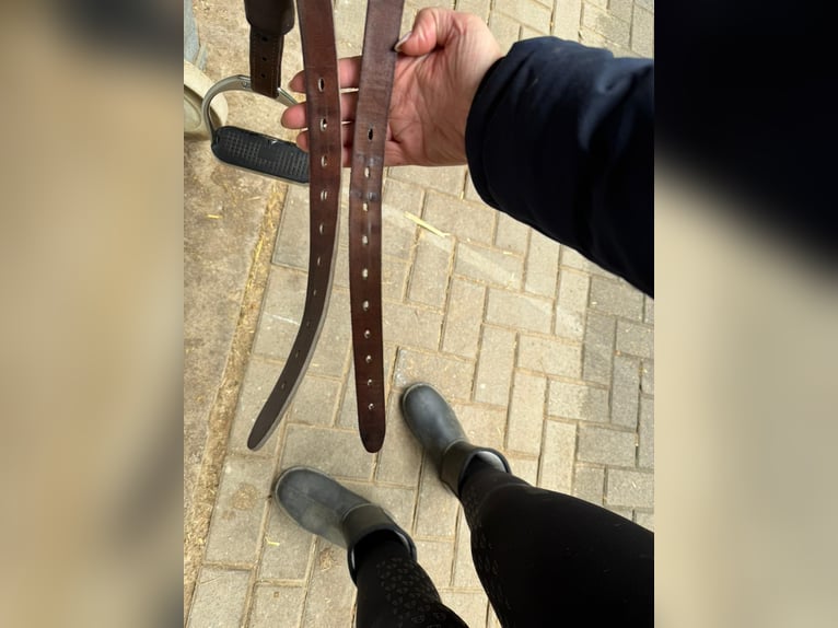 Childeric DSG Dressursattel