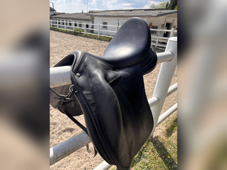 Childéric Monoblatt DPL 17,5 Z VHB