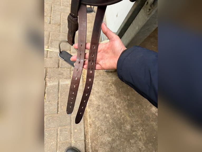 Childeric Sattel zu verkaufen