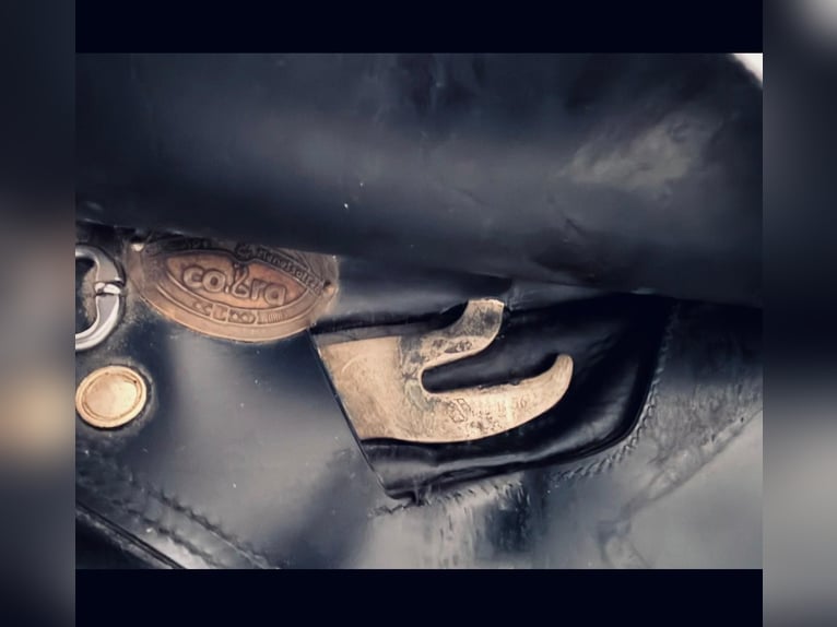 Cobra Dressursattel gebraucht 17,5