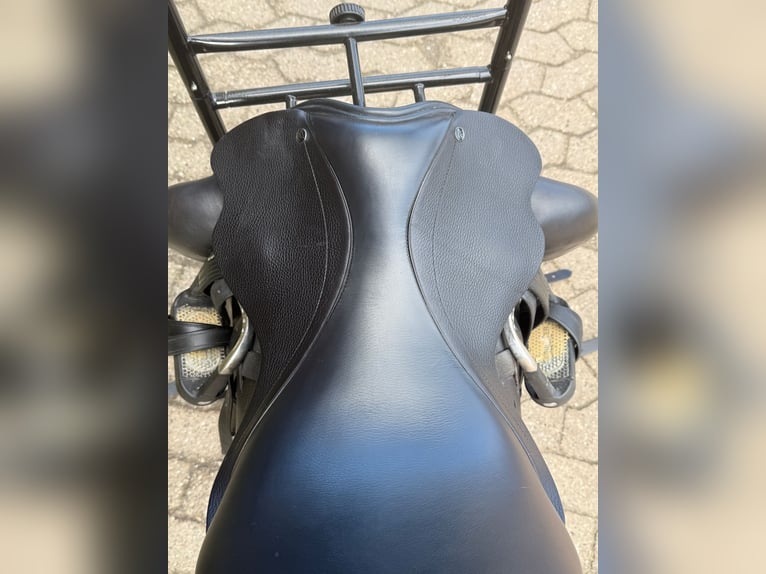 County Epiphany 17,5 Zoll