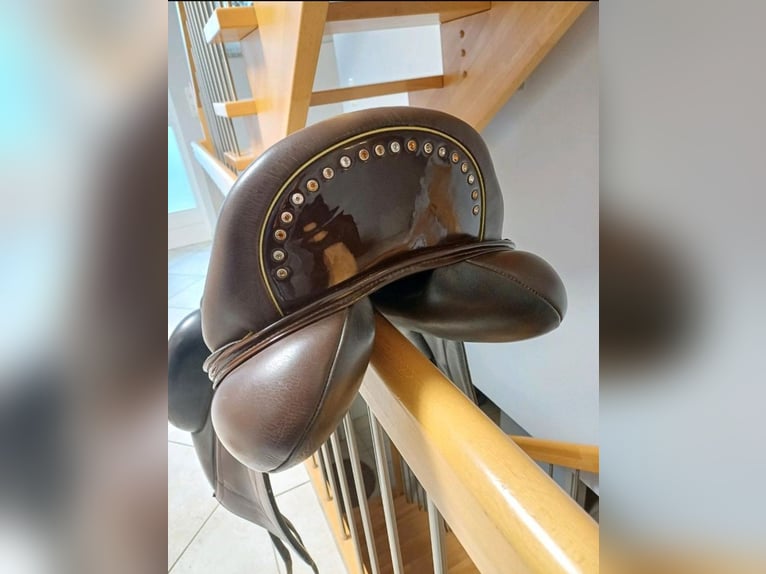 custom Saddlery Dressur Dressage Sattel Wolfgang Omni Monoflap gepflegt sauber hochwertig