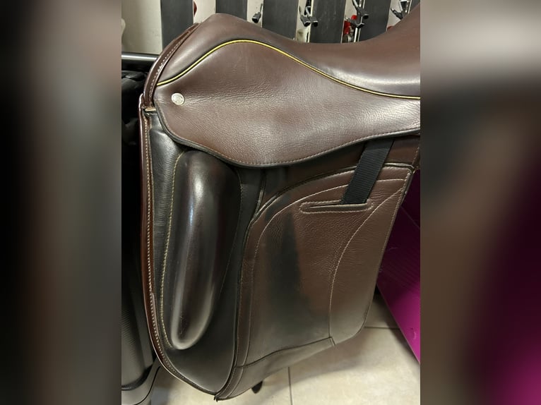 custom Saddlery Dressur Dressage Sattel Wolfgang Omni Monoflap gepflegt sauber hochwertig