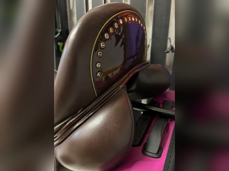 custom Saddlery Dressur Dressage Sattel Wolfgang Omni Monoflap gepflegt sauber hochwertig