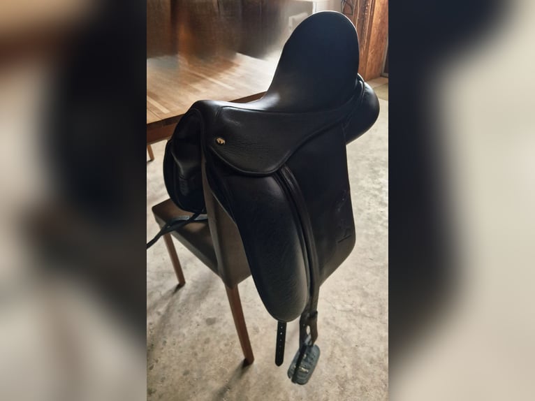 Deine Chance - Morgenroth Premium Sattel