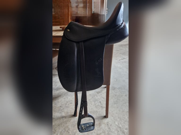 Deine Chance - Morgenroth Premium Sattel