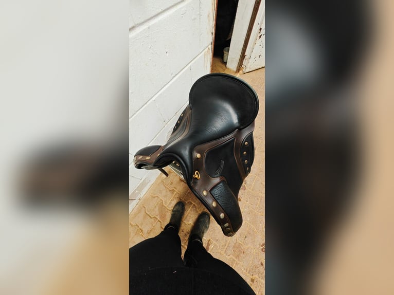 Deuber El Campo S3 Dressursattel  Barocksattel