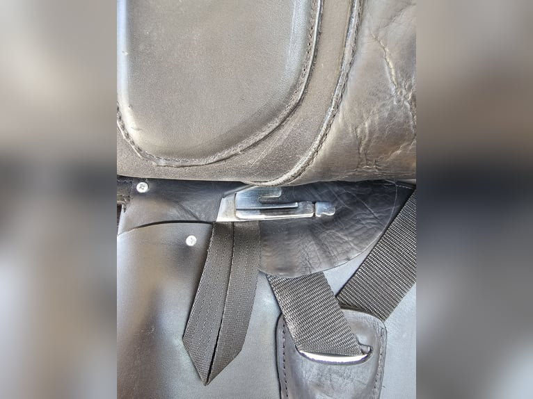 Deuber & Partner Nova Flex Bolero – Top Zustand, mit Garantie & Rechnung