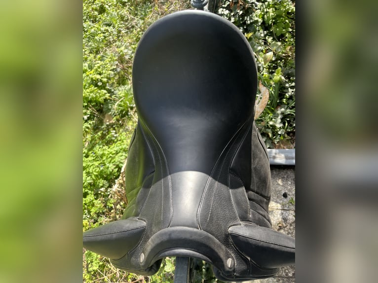 Devoucoux Makila Harmonie S mit Glitzer
